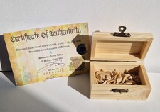 Fossil Shark Teeth Treasure