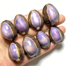 49g Natural Queen Purple Conch Shell Natural Seashell Decor  M243