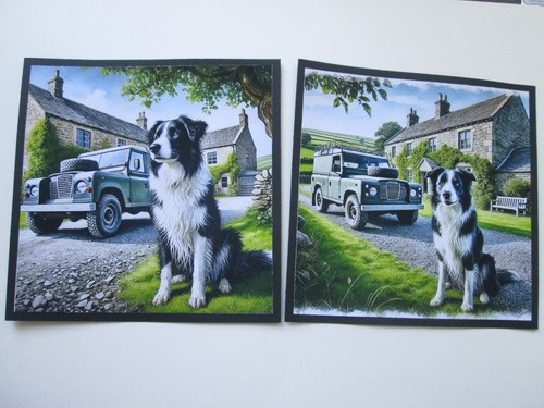 Set border collie land - set, x