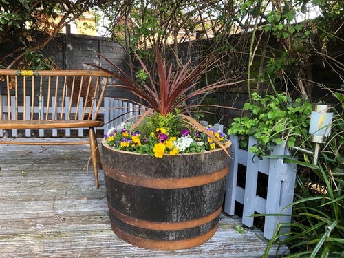 Large half oak - oak, whisky
