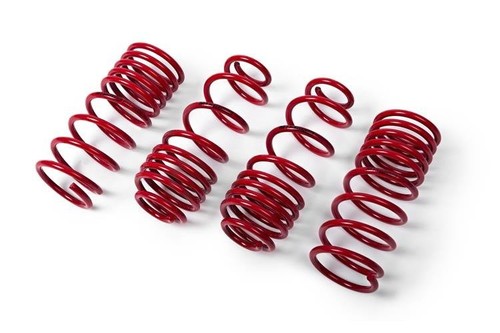 Mts lowering springs for - springs, opel