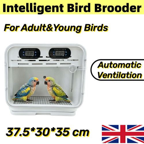 Poultry brooder cage - brooder, safe