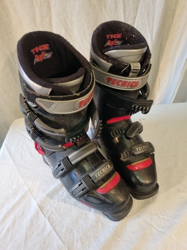 Pair ski boots tecnica tns - pair,