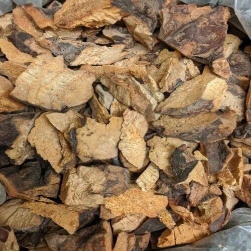 Burdock/Yellow