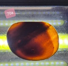 BROWN MULTI SEAHAM SEA GLASS