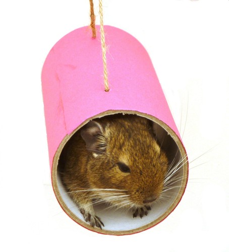 Pink chewchewbs pet cage - pink,