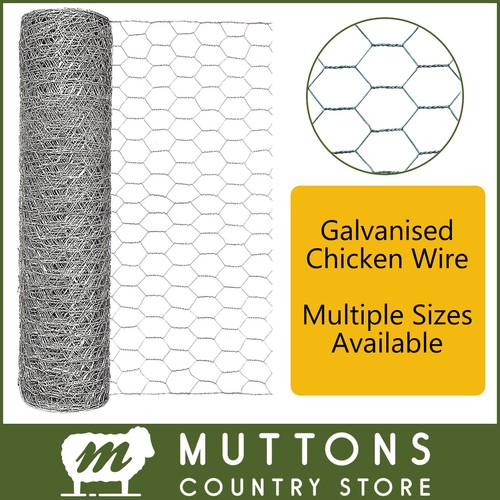 Galvanised chicken wire - galvanised, mesh