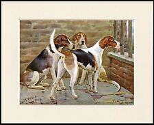 FOXHOUND LOVELY DOG PRINT