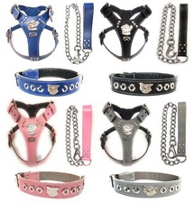 Beautiful Staffordshire Bull