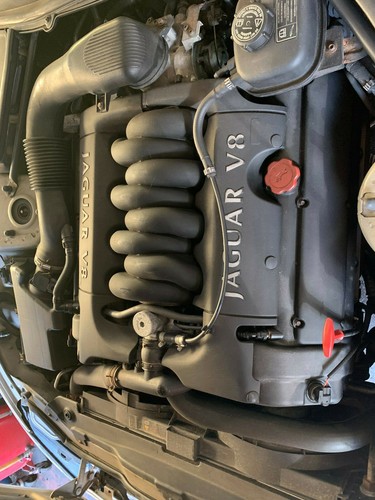 Jaguar xj8 x308 xk8 - x308, v8