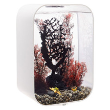 BiOrb LIFE 45 Aquarium Fish