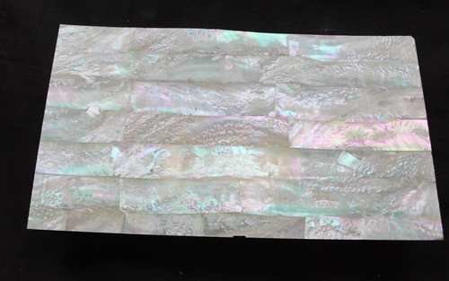 Australian abalone thin mother - abalone,