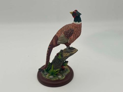 Border fine arts studio - fine, birds