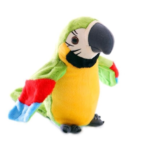 Talking parrot repeats what - talking,
