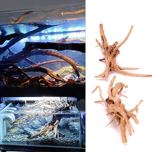 Wood natural trunk driftwood - trunk,