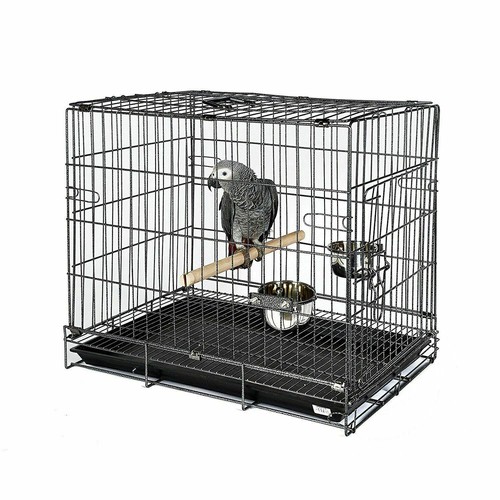 Premium parrot travel - parrot, carry