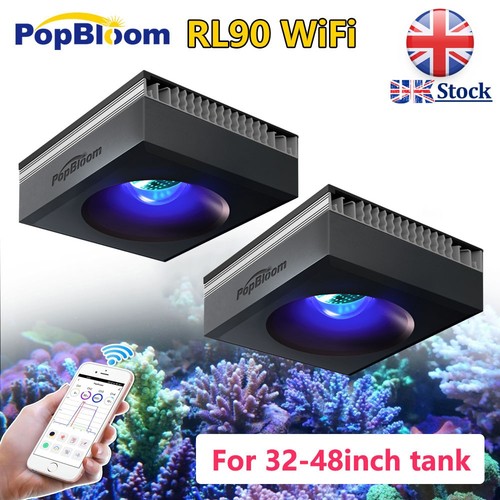 Popbloom 2pcs rl90 - popbloom, full