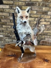 Taxidermy - Mounted Shooting