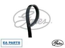 Ribbed belts for suzuki - belts,