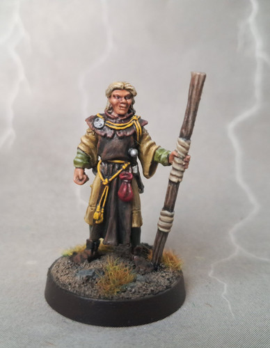 Reaper miniatures bertrand the - bertrand,