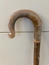 Rams Horn Shepherds Crook Walking