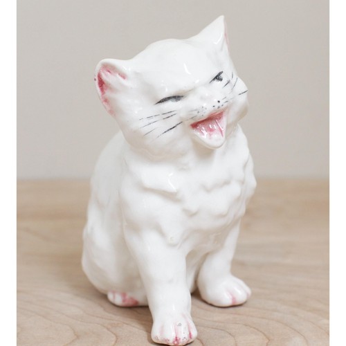 Royal dux hissing - dux,