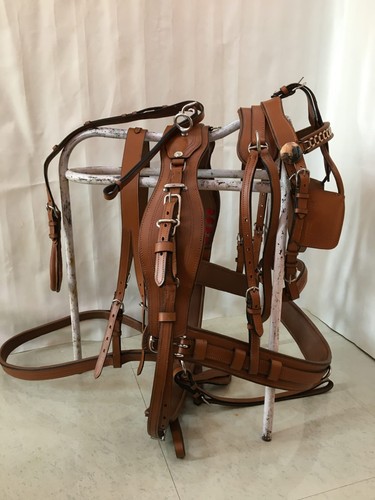 Leather driving harness - driving,