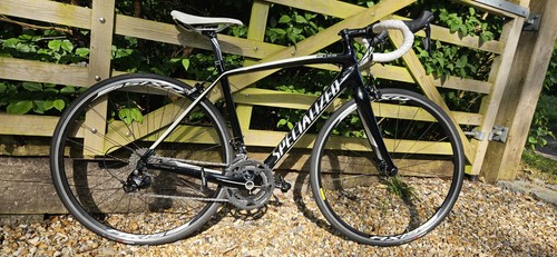 Immaculate specialized amira - immaculate,