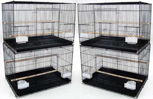 Large lot 4 breeding - 30", of