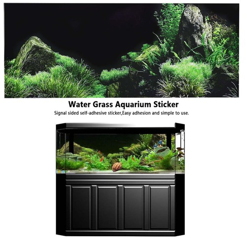 Aquarium fish tank seafloor - aquarium,