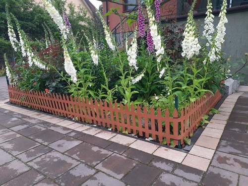 Plastic garden fence border - plastic,