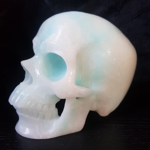 3kg life sized - 6.9", blue