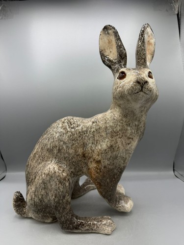 New winstanley arctic hare - winstanley,
