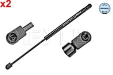 Boot Lid Gas Spring Strut x2