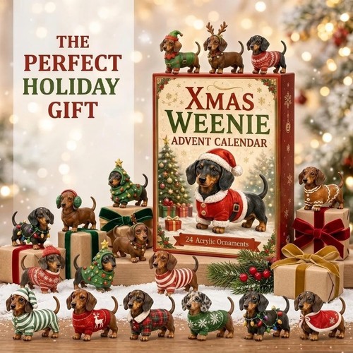 Dachshund dog christmas - dog, advent