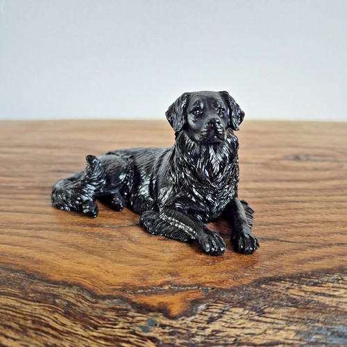 Black labrador retriever - labrador,