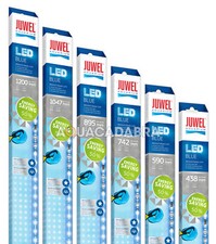Juwel LED Blue Bulbs for