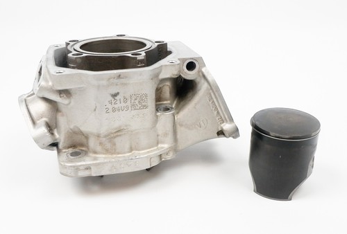 Senior rotax max - max, evo