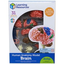 Learning Resources Brain