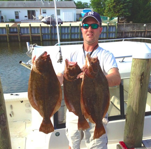 Best fluke flounder - best,