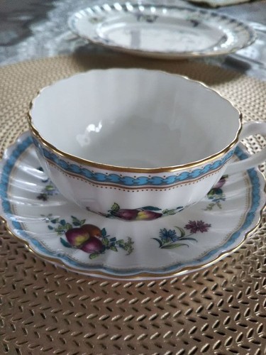Spode trapnel sprays teacup - trapnel,