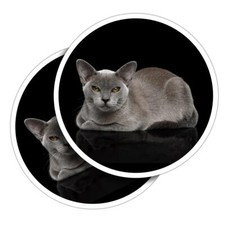 2x Vinyl Stickers Burmese Cat