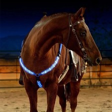 LED Horse Breastplate Harness Nylon Night Safety Light USB Recharge Riding
