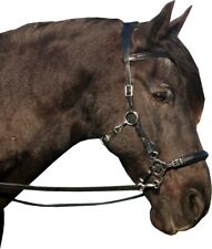 Calli Love Hackamore Bitless Bridle & Reins