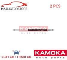 TAILGATE BOOT STRUTS SET