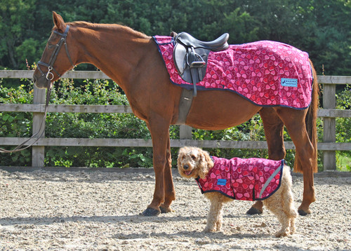 Maxima fleece exercise - maxima,