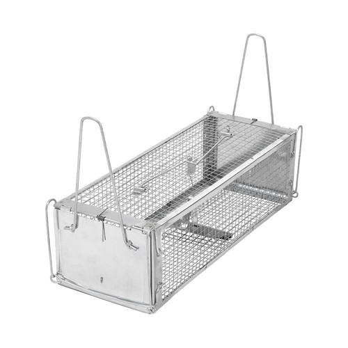 Squirrel trap humane no - squirrel,
