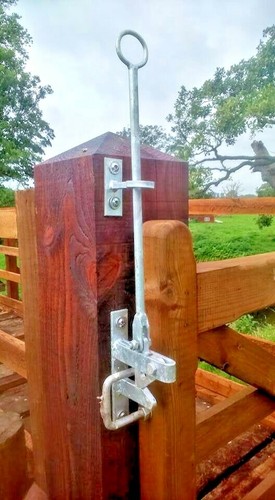 Horse equine gate - gate, latch