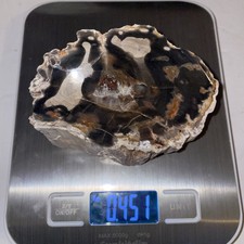 225 Million Year Old Polished