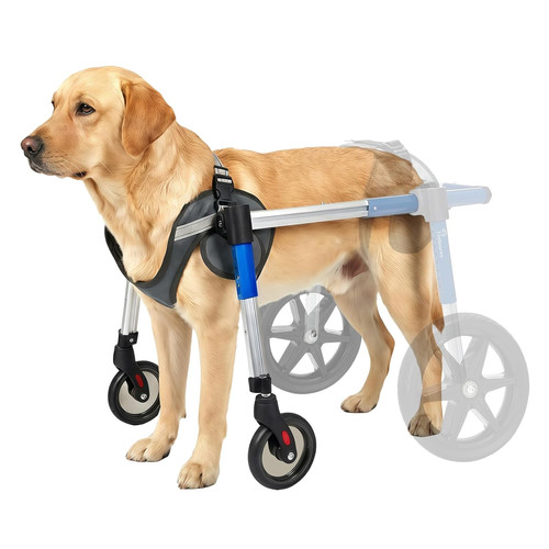 Used dog wheelchair - used, front